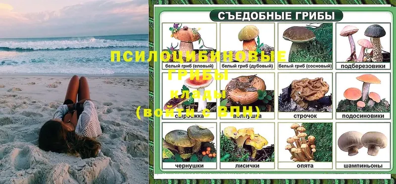 Псилоцибиновые грибы Psilocybine cubensis  darknet как зайти  Павлово  hydra ссылки 